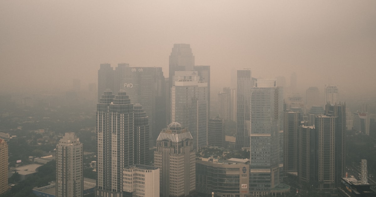 Air Pollution & Health in India: PM2.5 Risks & Protection