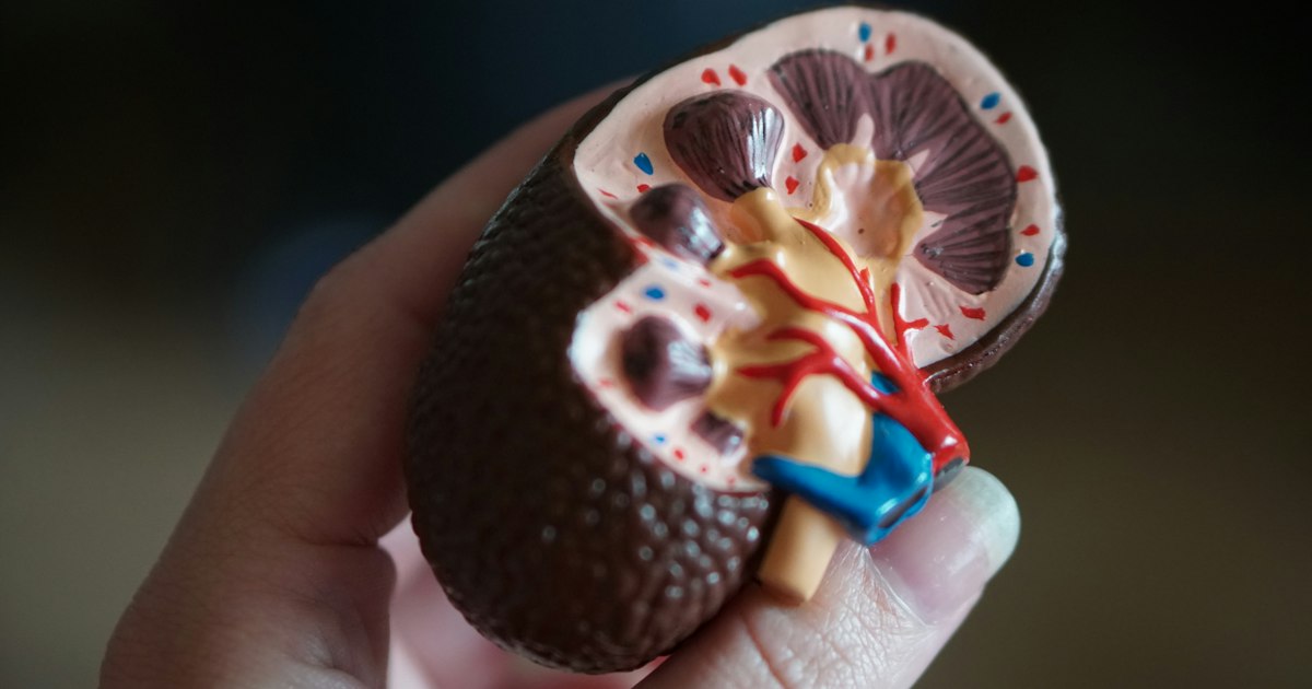 Cortisol Test India: Normal Range, Cost & Meaning