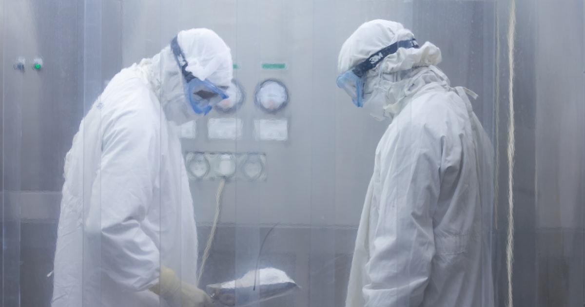 Ebola Virus in India: Risk, Symptoms & Prevention