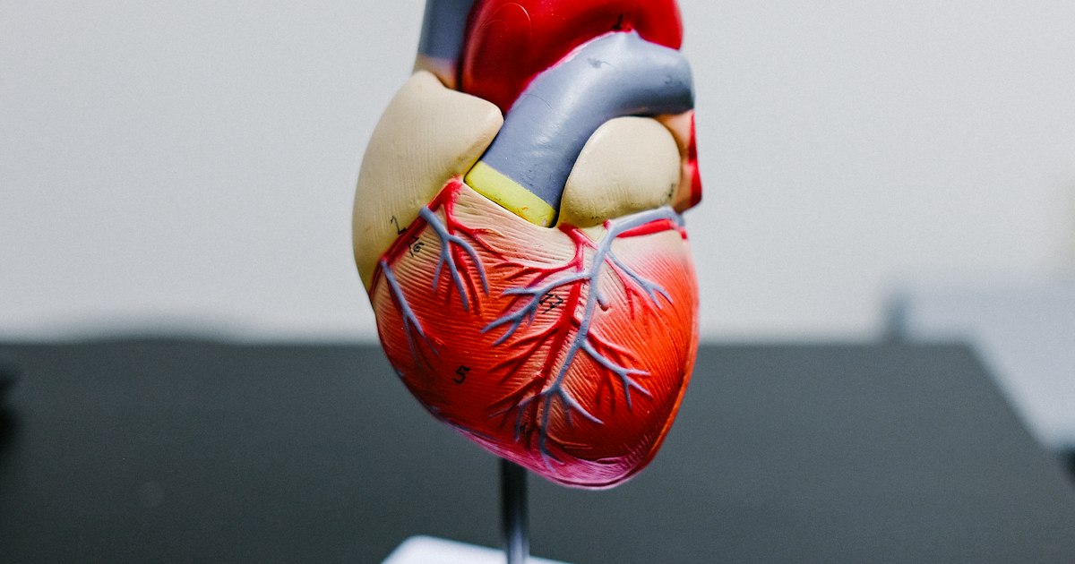 ECG, 2D Echo and TMT: Heart Tests Explained for Indians