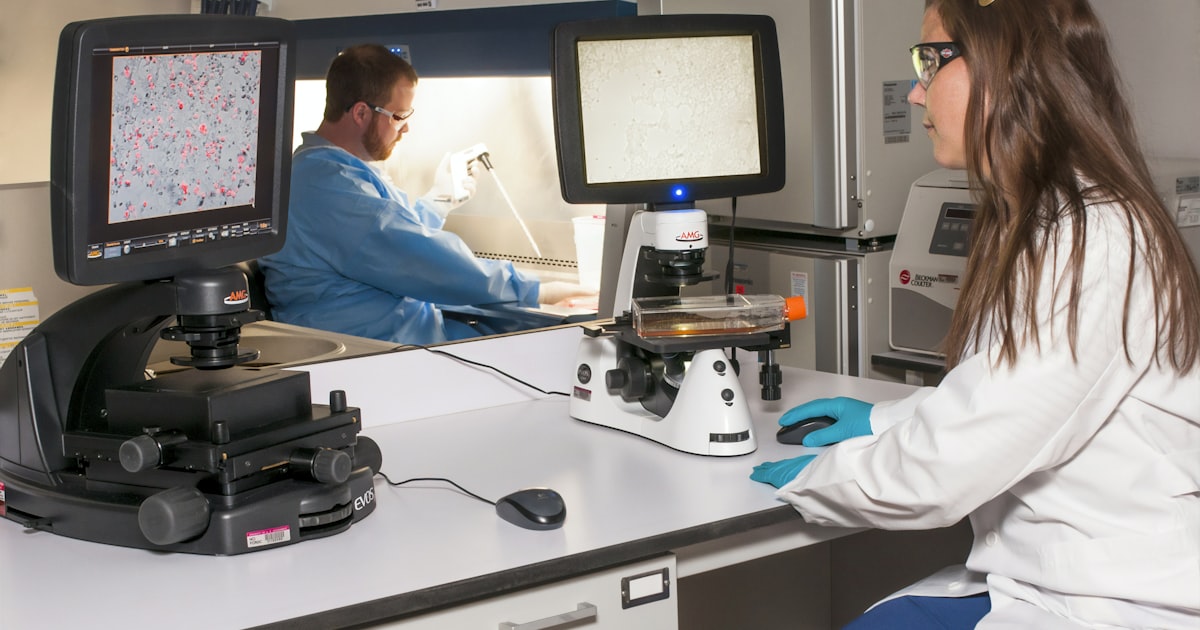 Hepatitis A in India: Symptoms, Vaccine & Treatment