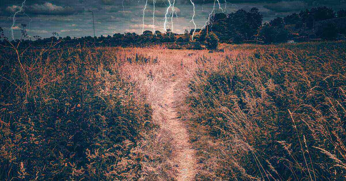 Kyasanur Forest Disease: India's Monkey Fever Explained