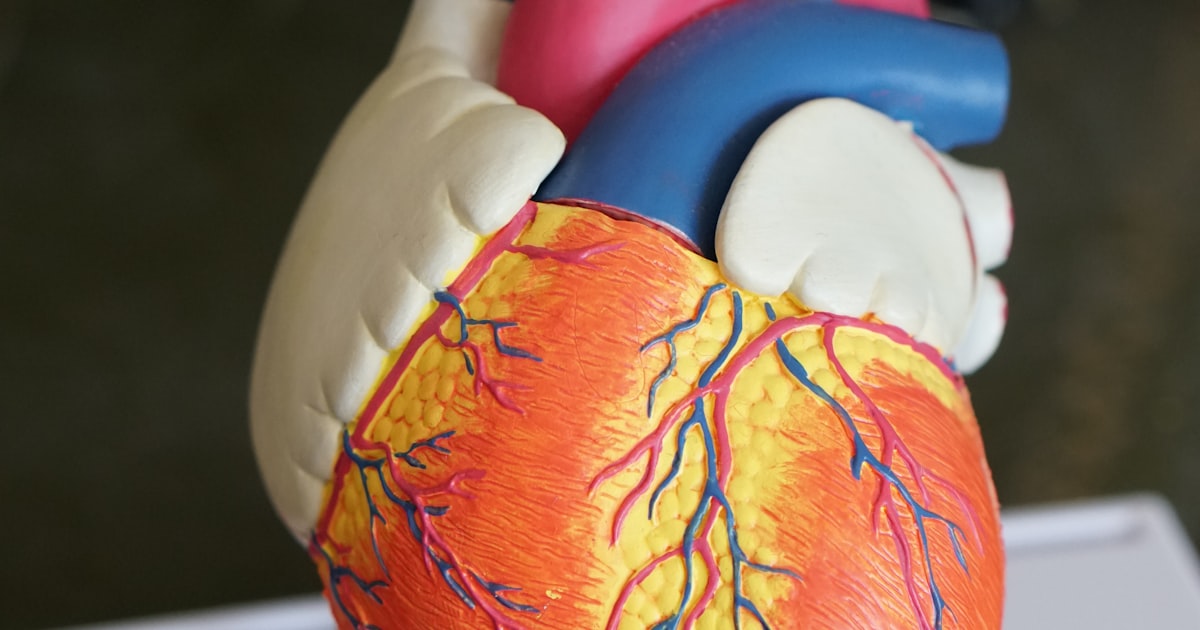 Liver Function Test (LFT): A Complete Guide for Indians