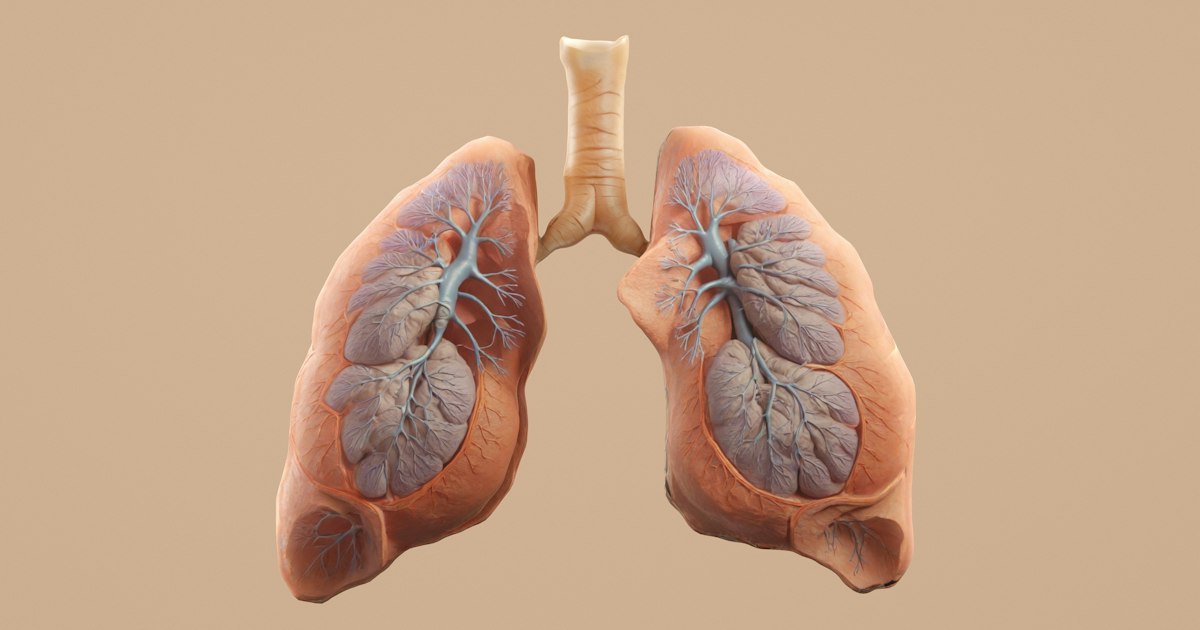 Spirometry & PFT Test: Normal Values Guide for Indians