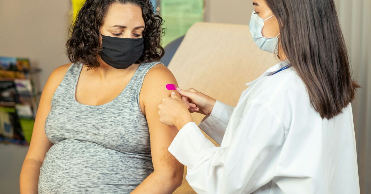 TORCH Test in Pregnancy: IgG, IgM & Avidity Explained